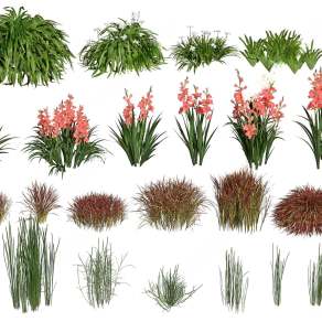 现代花草3D模型下载